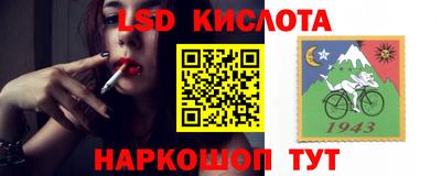 a pvp Краснокаменск