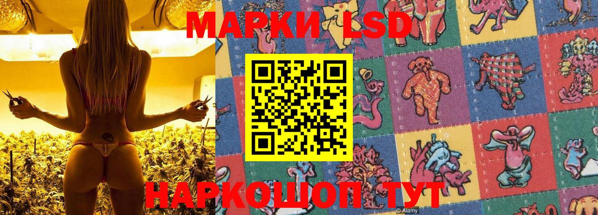 Наркотические марки 1500мкг  Наркотические марки 1500мкг  Вход с VPN  Марки 25I-NBOMe  Киселёвск 