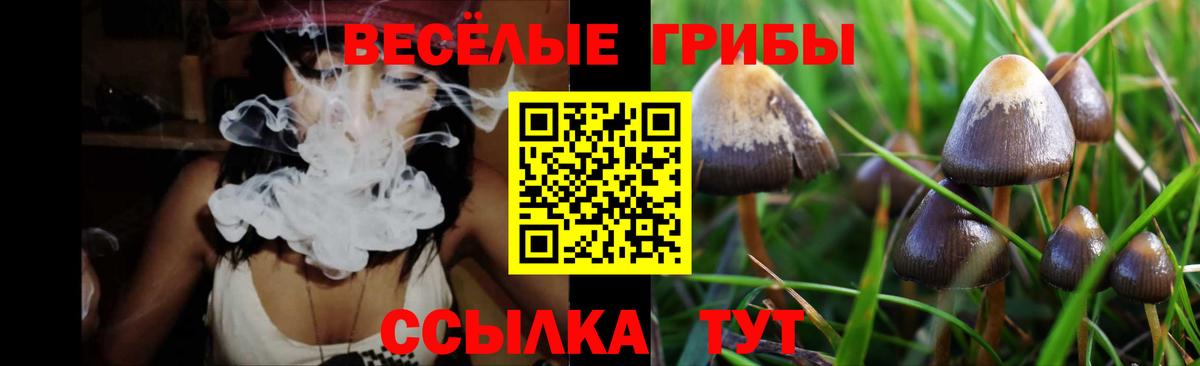 Псилоцибиновые грибы GOLDEN TEACHER  Галлюциногенные грибы Magic Shrooms  Киселёвск  Вход с VPN 